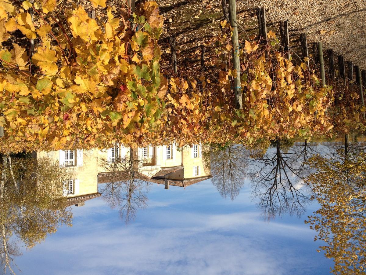 Chateau Belles Graves Bed and Breakfast Pomérols Exterior foto